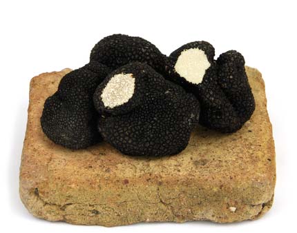 Truffes Fraîches d'été<br>400 gr