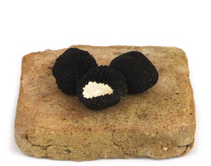 Truffes Fraîches d'été<br>100 gr
