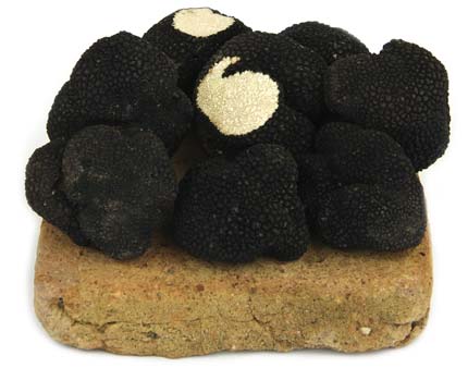Truffes Fraîches d'été<br>1 000 gr