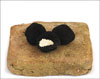 Truffes Fraîches d'été<br>100 gr