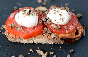 Tartine à la truffe d’été