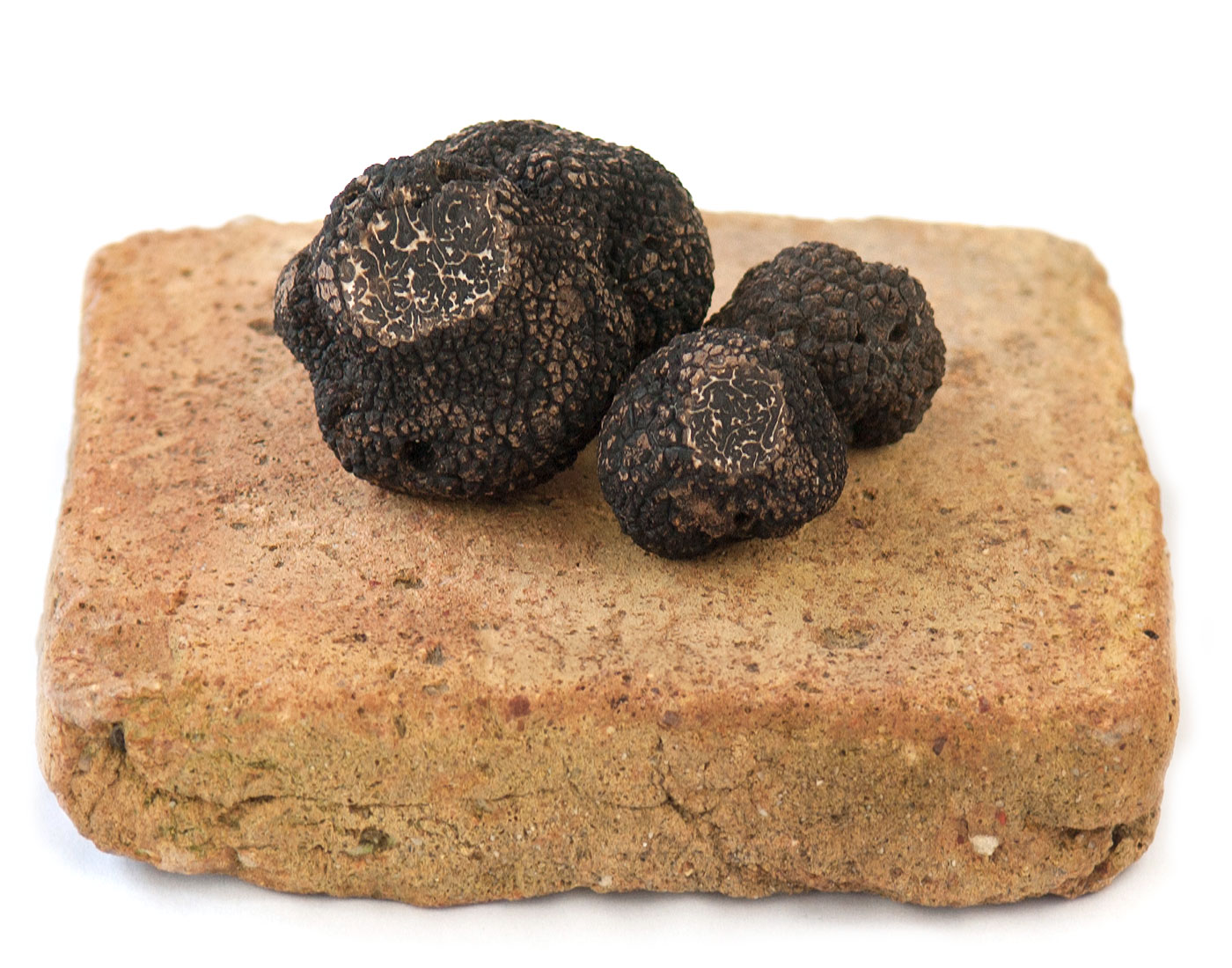 Truffes fraîches - Achat/Vente truffes noires du Périgord