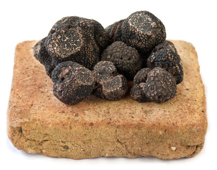 Truffes Fraîches d'hiver<br>200 gr