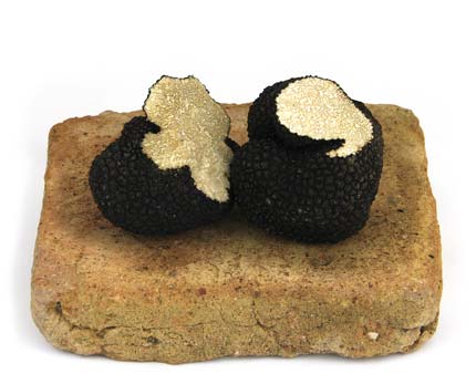 Truffes Fraîches d'été<br>200 gr