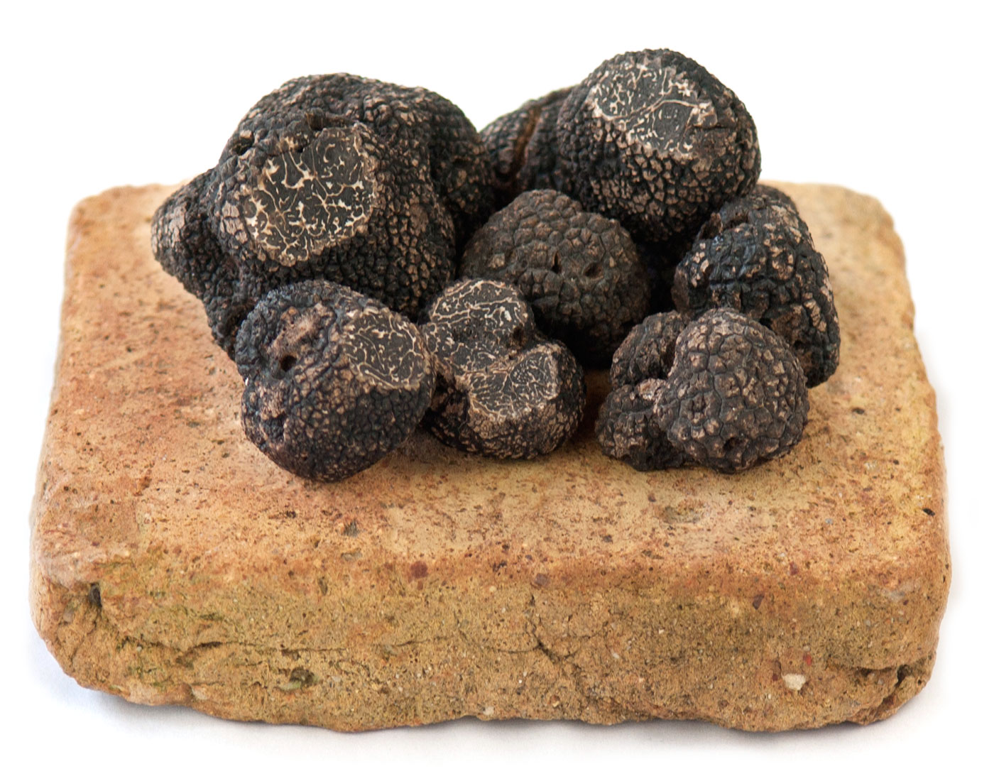 Truffe Noire Fraiche Entière Du Périgord Tuber Mélanosporum