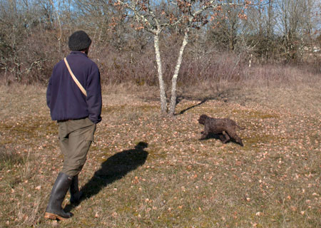 Truficulteur et son chien